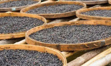 Stake(中国区)官方网站