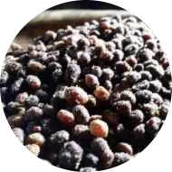 Stake(中国区)官方网站