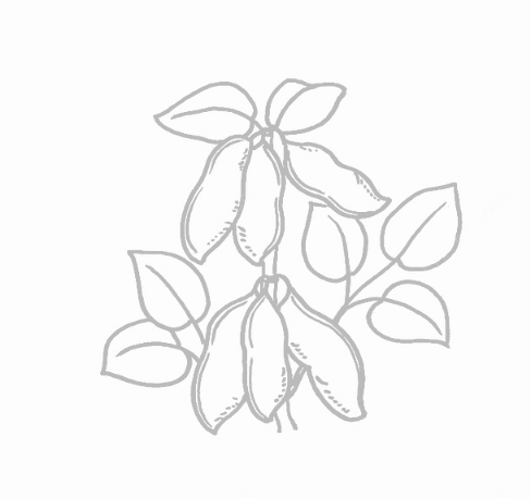 Stake(中国区)官方网站