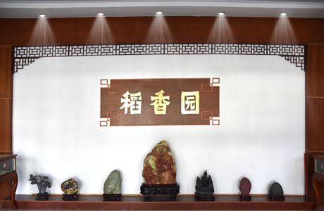 Stake(中国区)官方网站